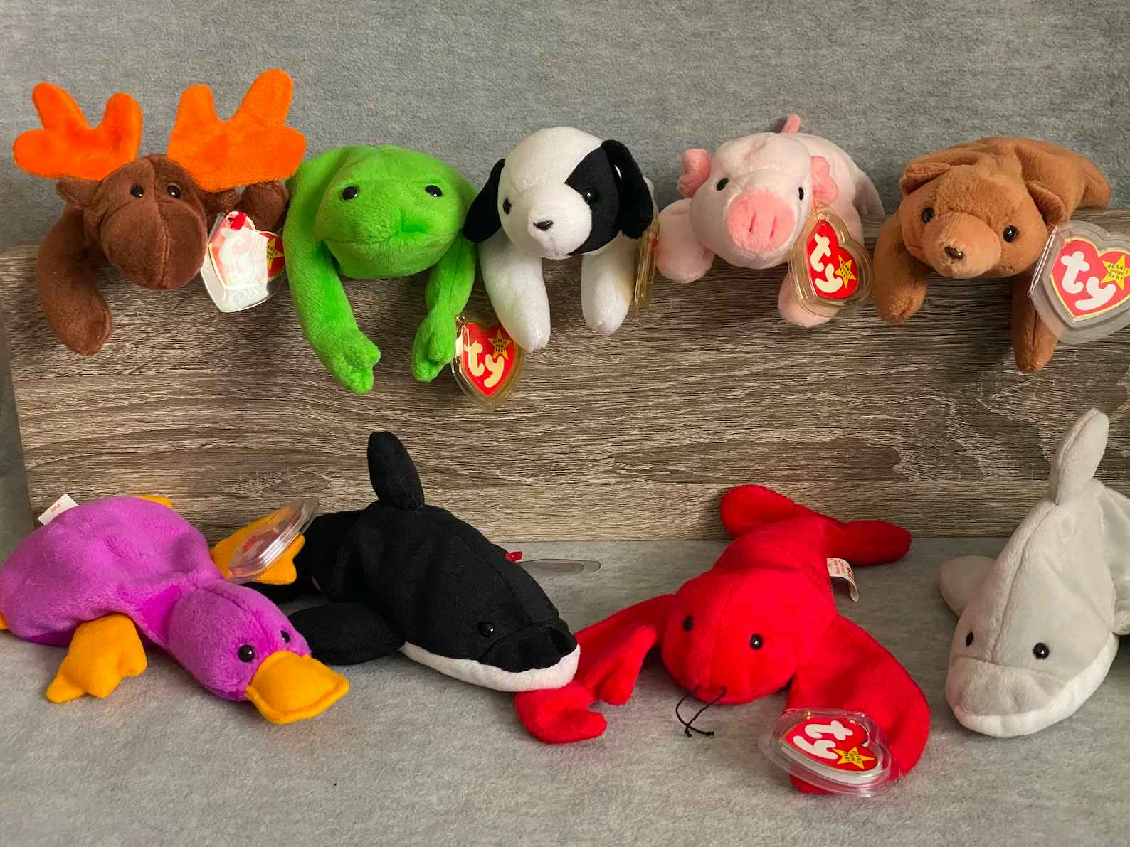 The Original 9 Beanie Babies sitting together on a display.