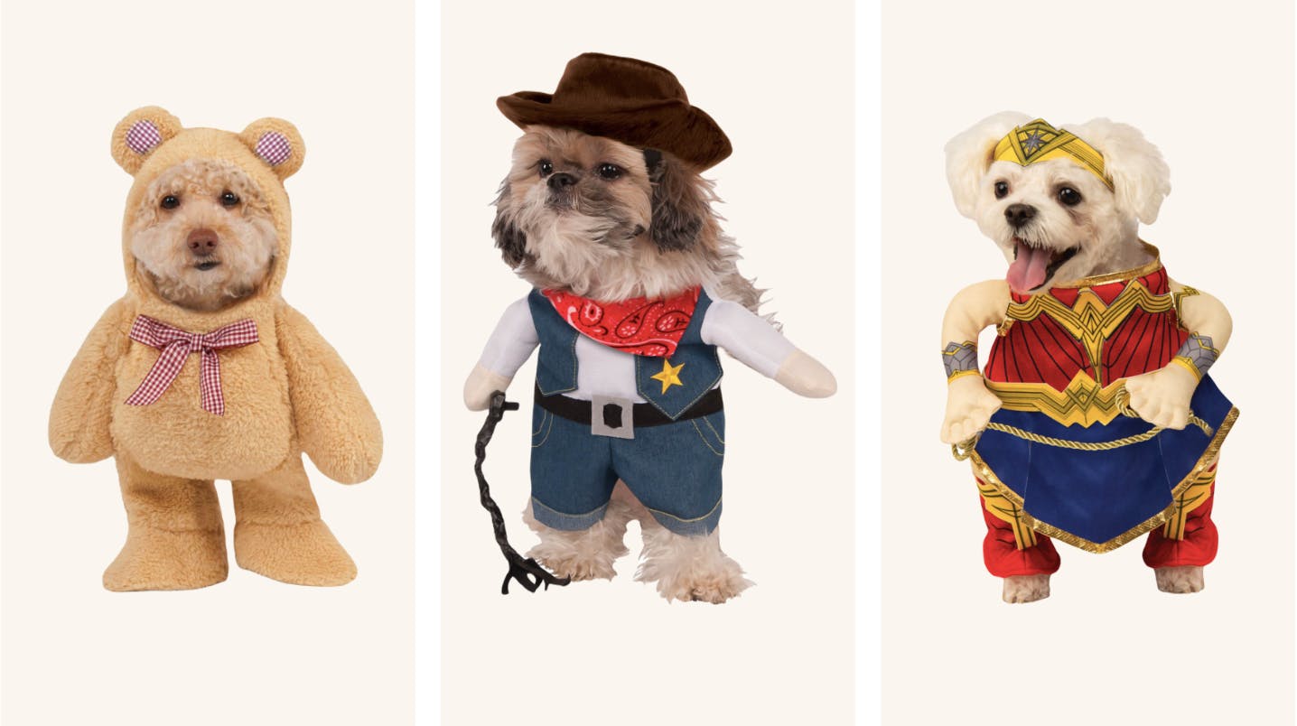 13 Best Pet Hair Remover Hacks That Will Change Your Life The Krazy