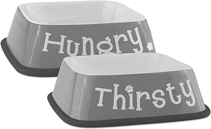 amazon bone dry hungry and thirsty pet bowel 