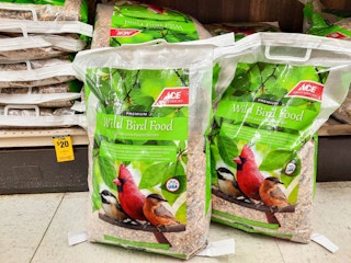 Two 20-pound bags of Ace Hardware brand wild bird food in front of shelf. Sale tag hanging from the shelf reads 2 for $20.