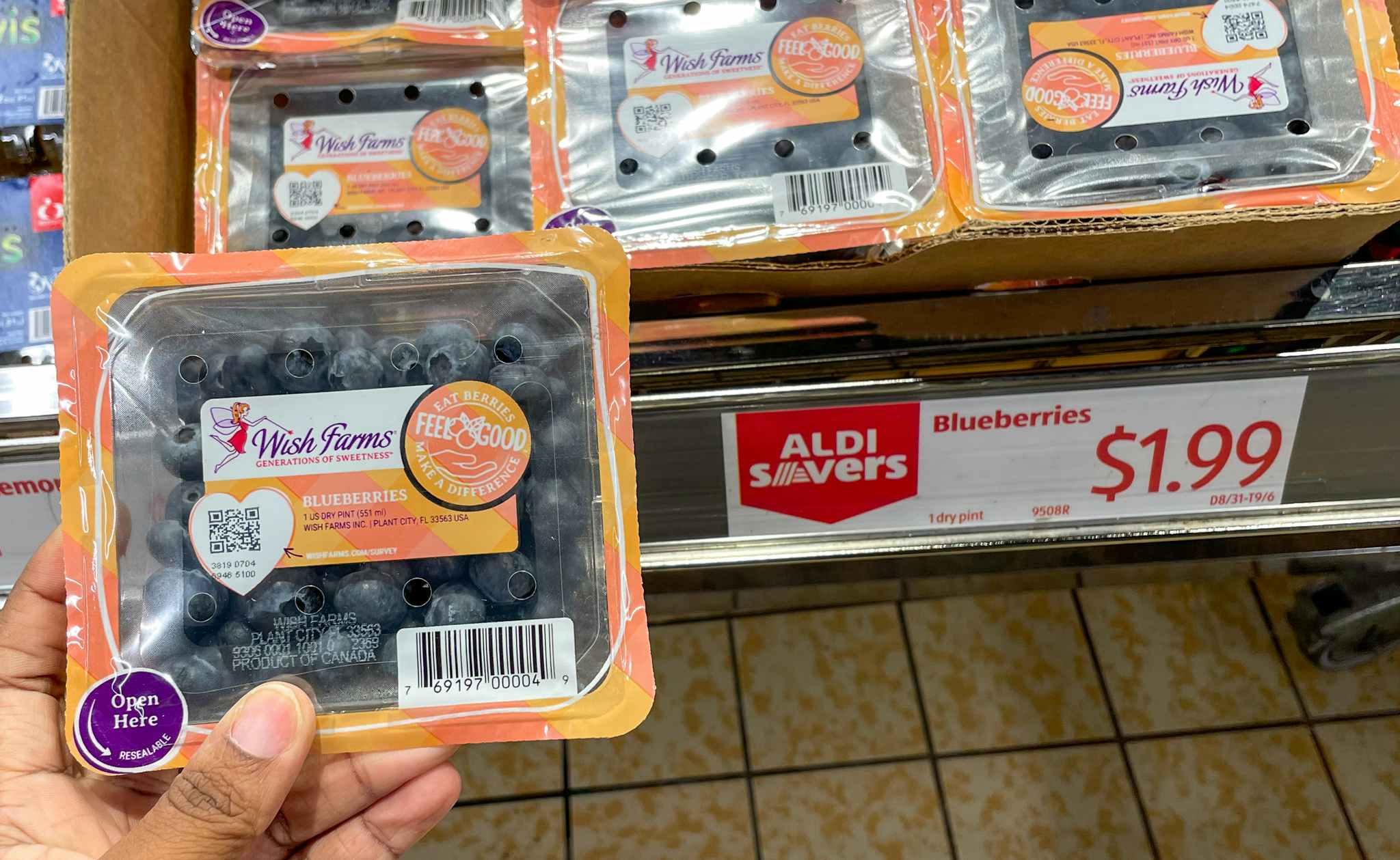 blueberries at aldi