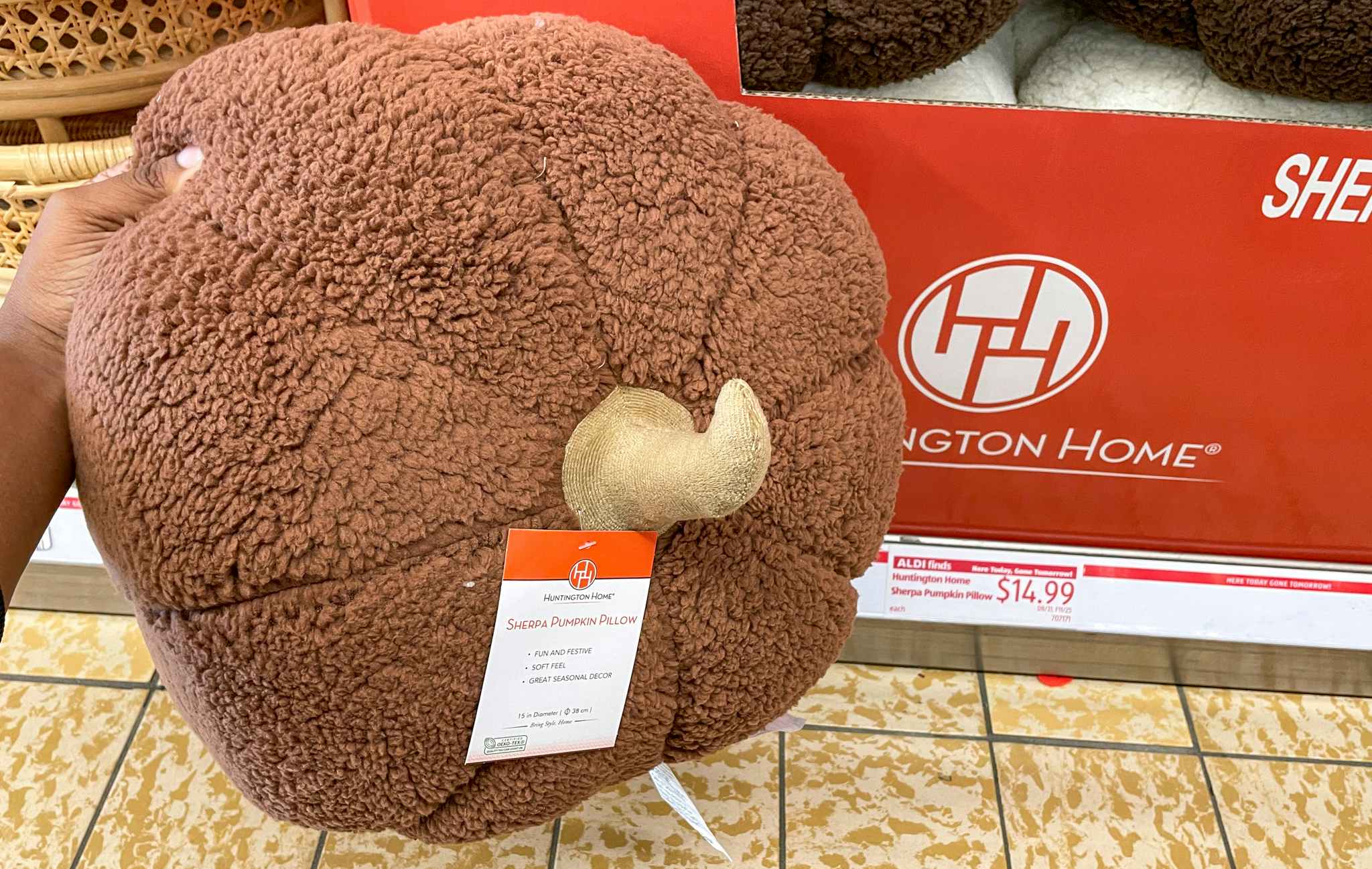 pumpkin pillow at aldi