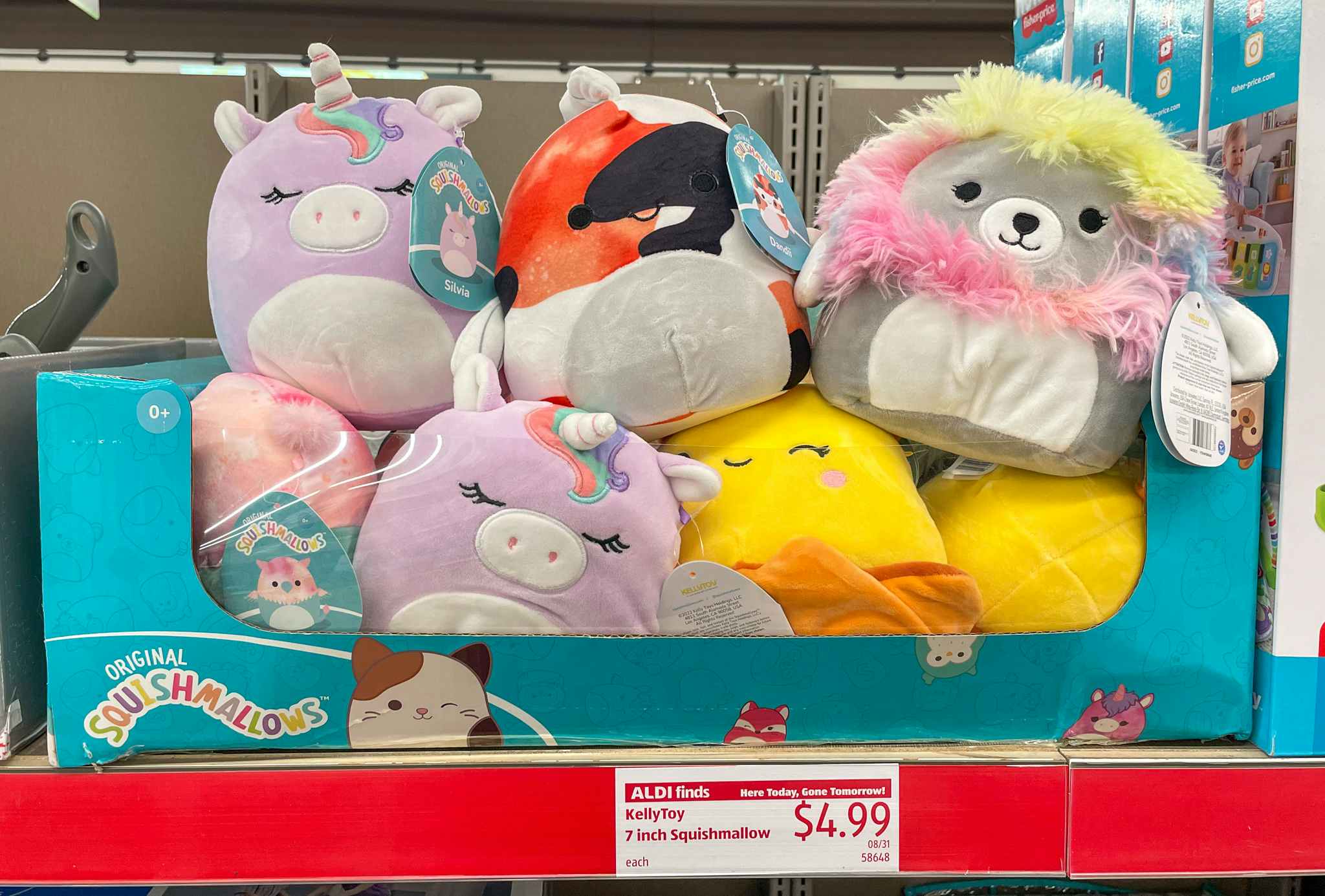 squishmallows at aldi