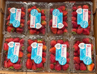 packaged strawberries in a box at aldi 