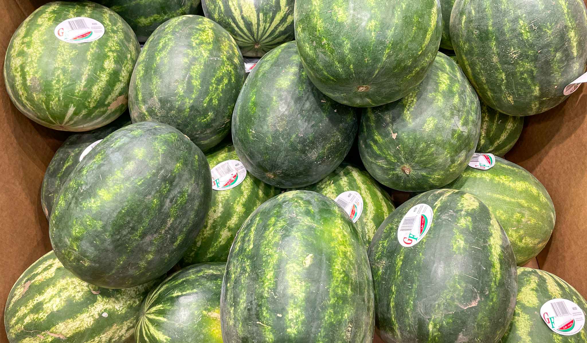 watermelons in a box at aldi