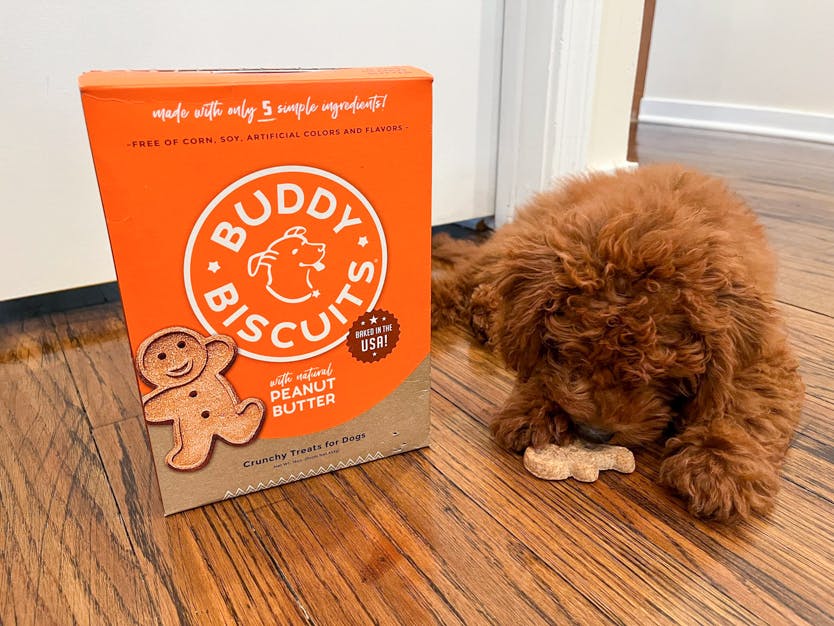 amazon-buddy-biscuits-dog-treats-2022-3