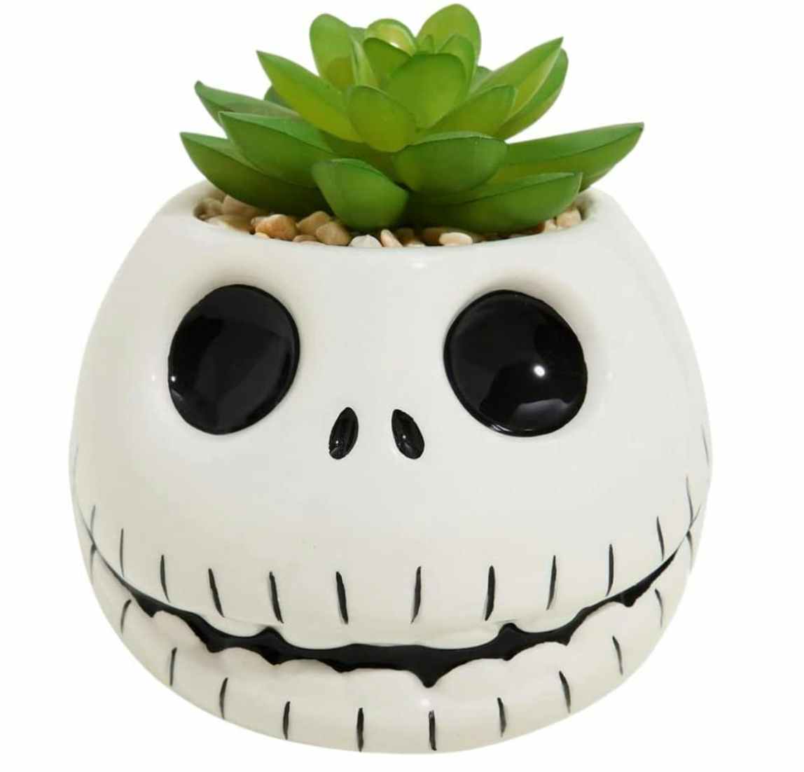 Jack skeleton planter with a faux succulent 
