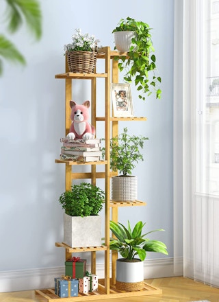 amazon plant stand 2022 1 1659618122 1659618122 750x1031