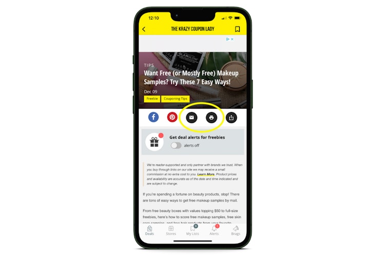 screenshot of iOS app showing how to email and print