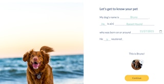 askvet subscription 82022 1660055001 1660055001