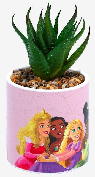 boxlunch-disney-princess-succulent-2022-2