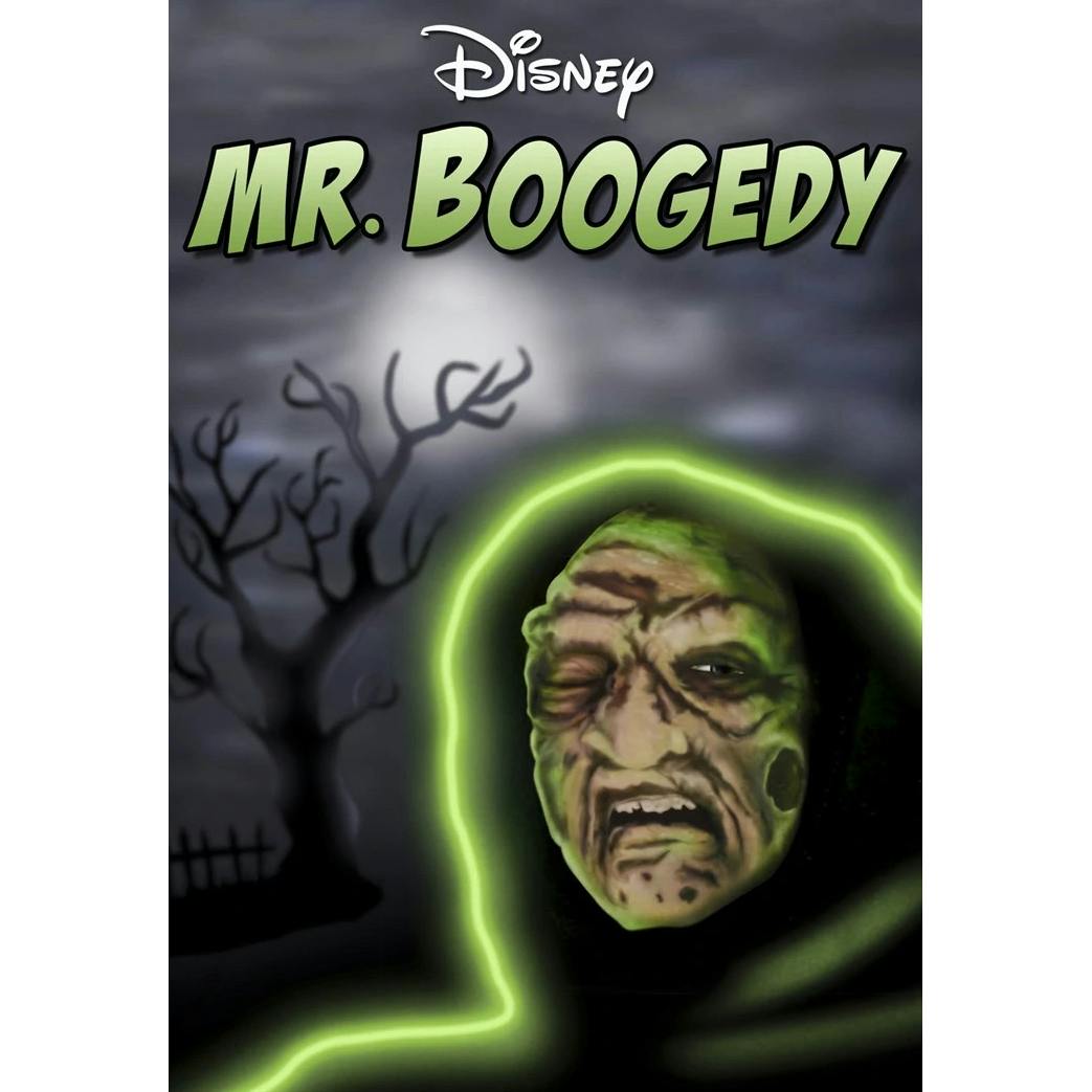 Disney Original Movie Mr. Boogedy DVD