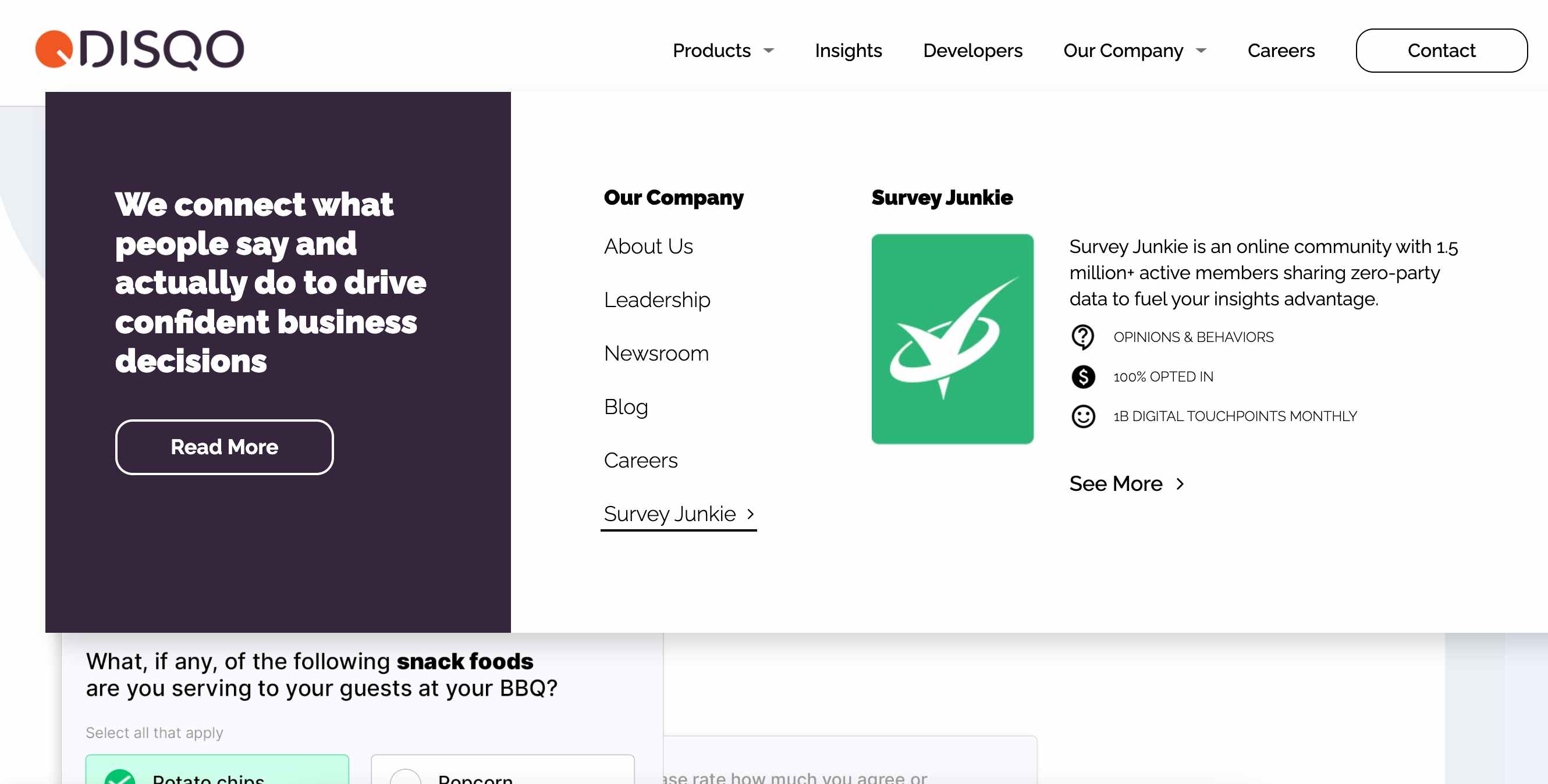 the disqo.com homepage menu showing survey junkie as part of their company