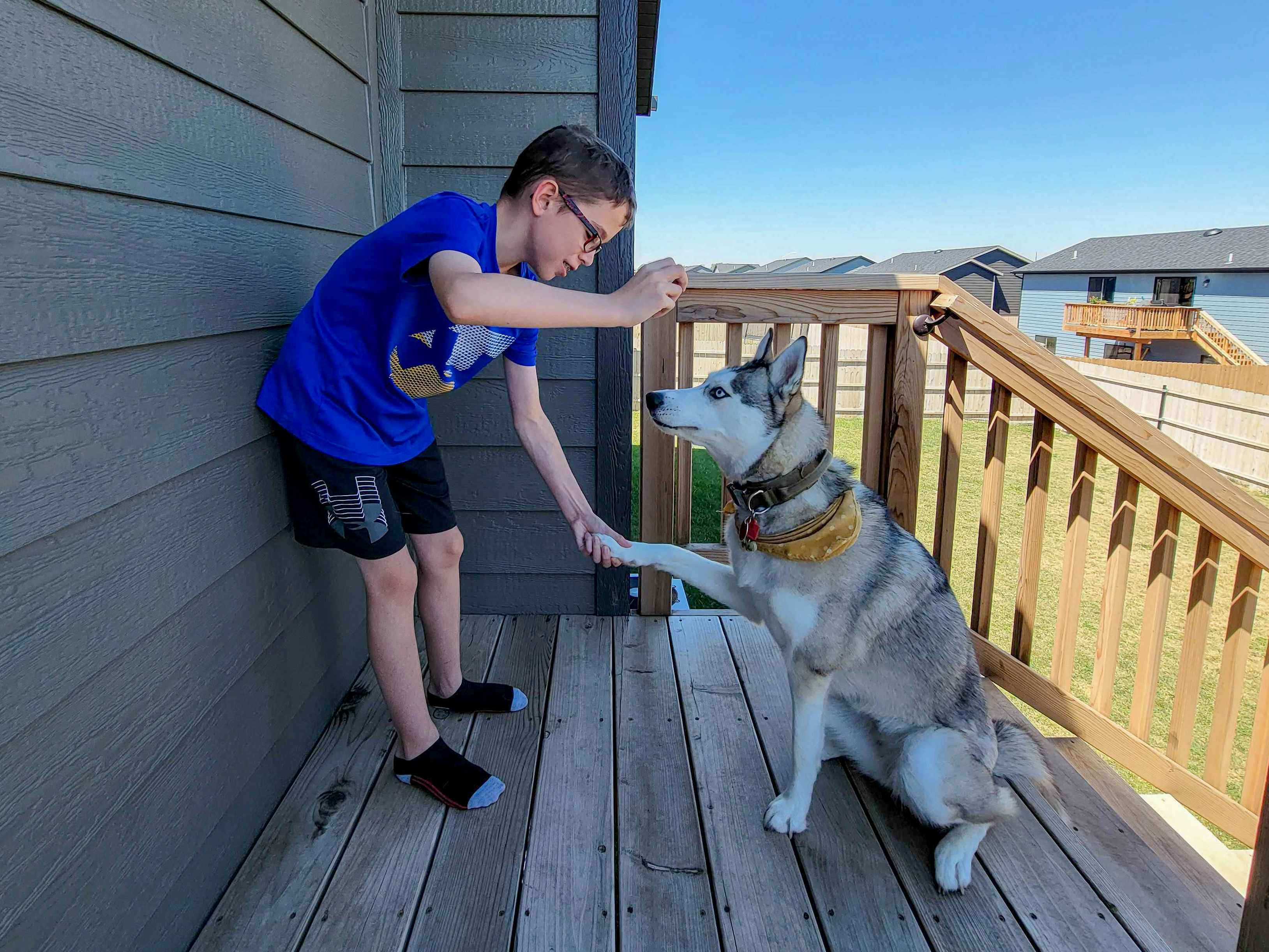 A young boy using a treat to train his dog how to shake on a wooden deck.