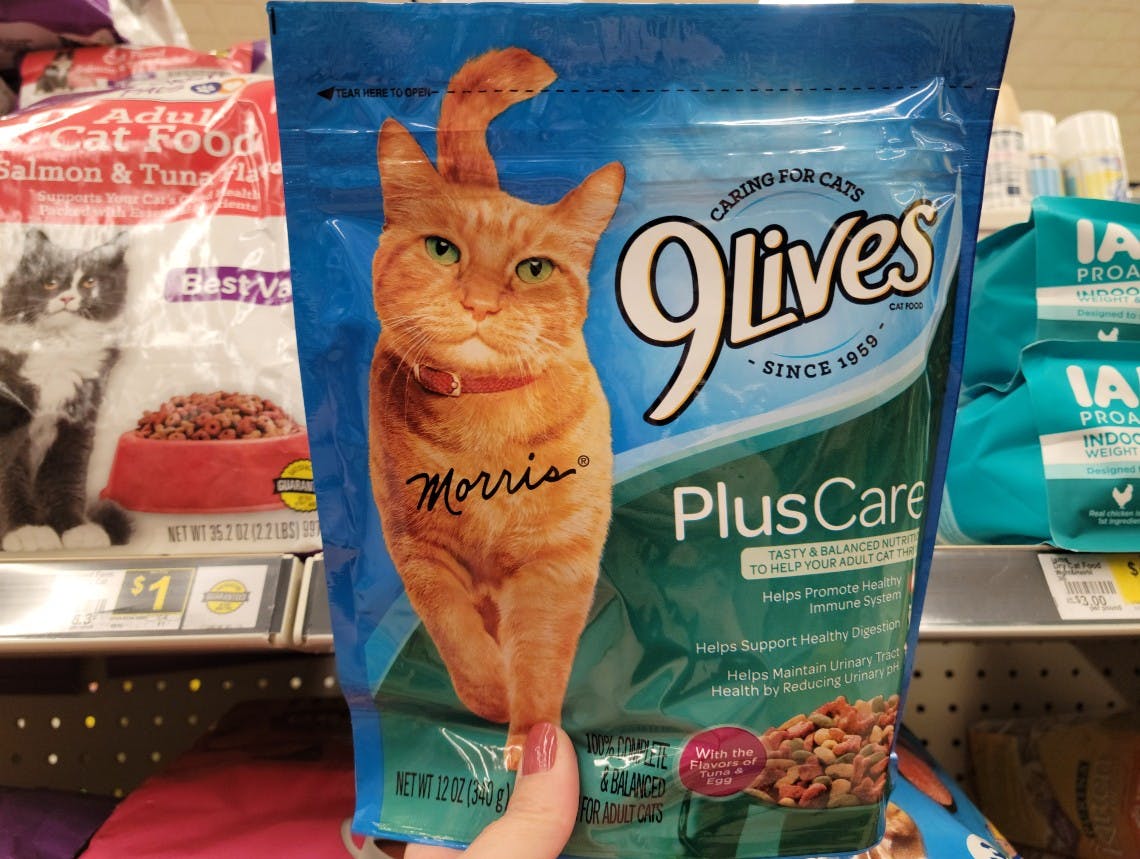 9Lives Cat Food, Only 0.50 at Dollar General The Krazy Coupon Lady