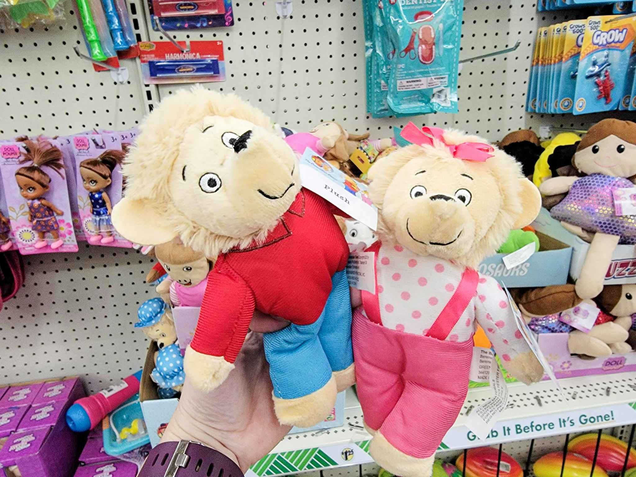 hand holding two berenstain bear character plushes