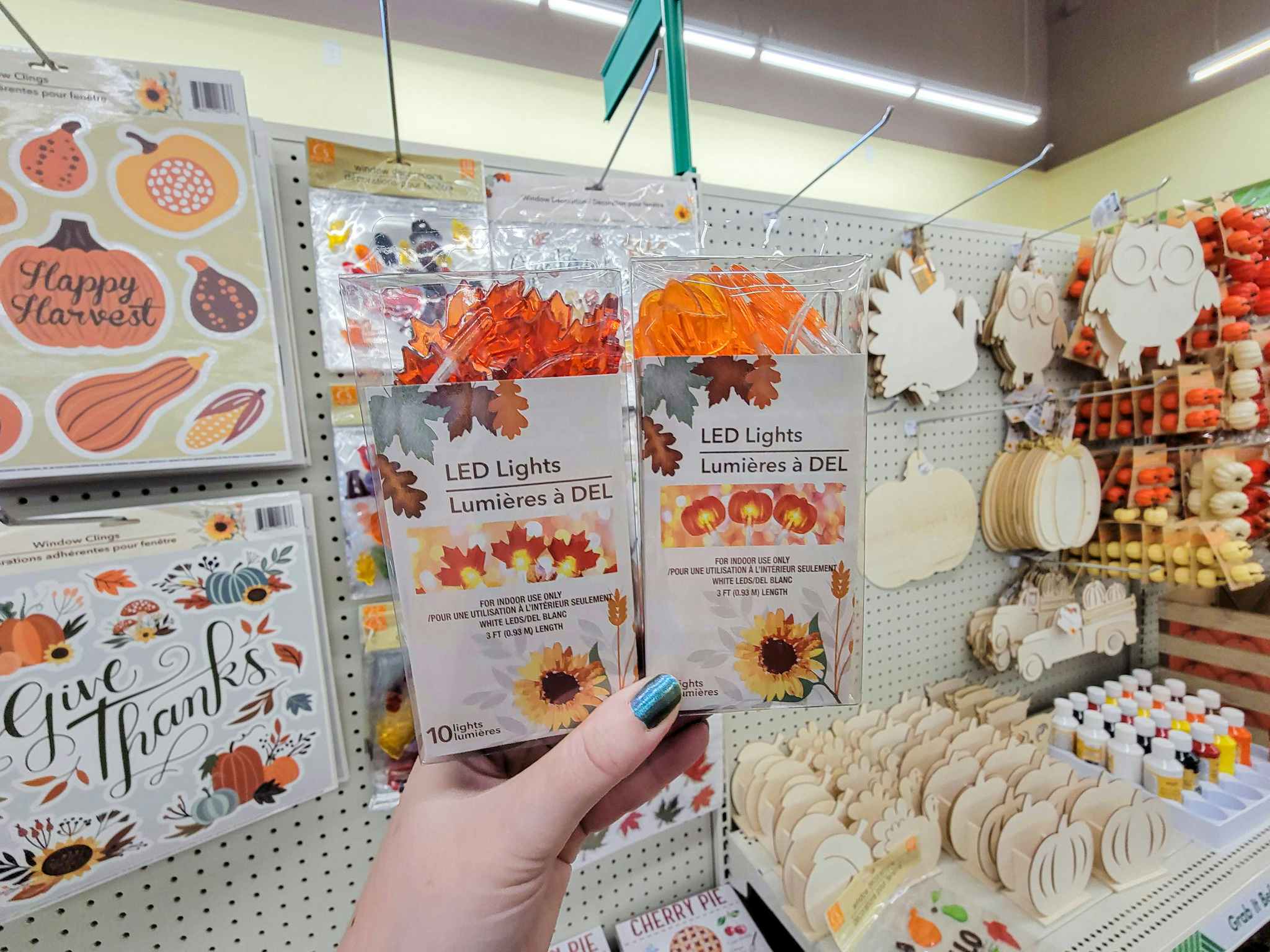 hand holding 2 packs of fall led string lights, pumpkins and leaves