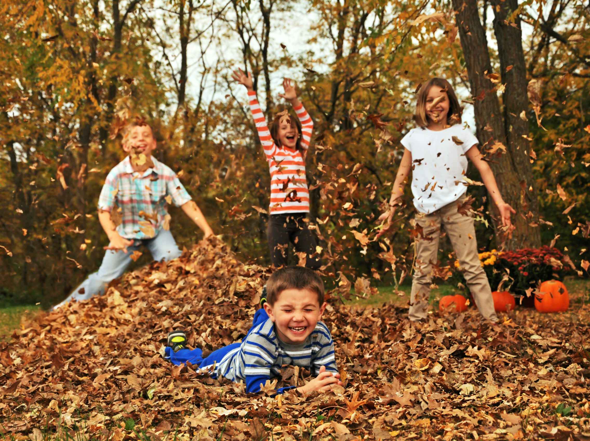 kids playing in a pile of fall leaves