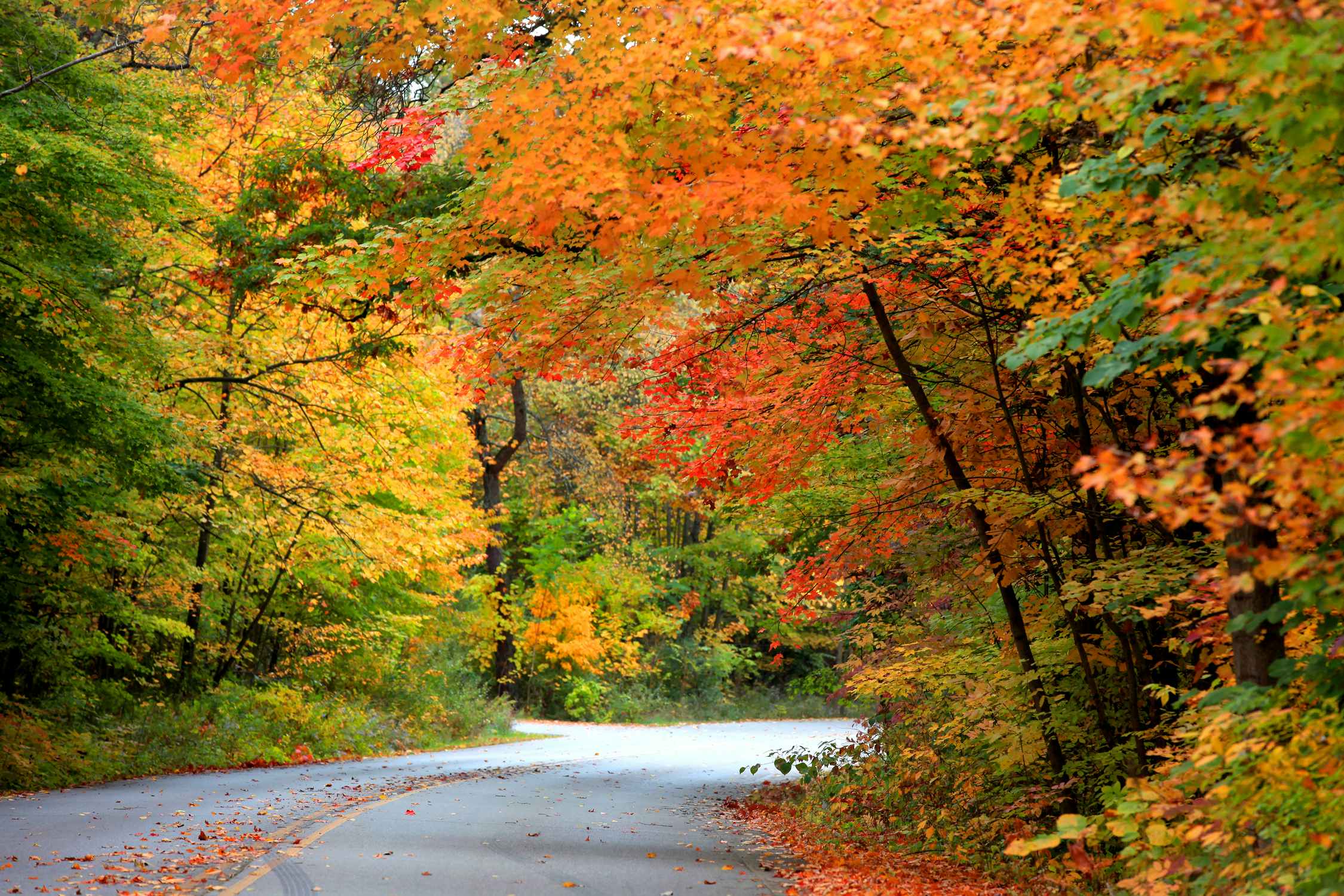 scenic fall drive with colorful turning autumn leaves