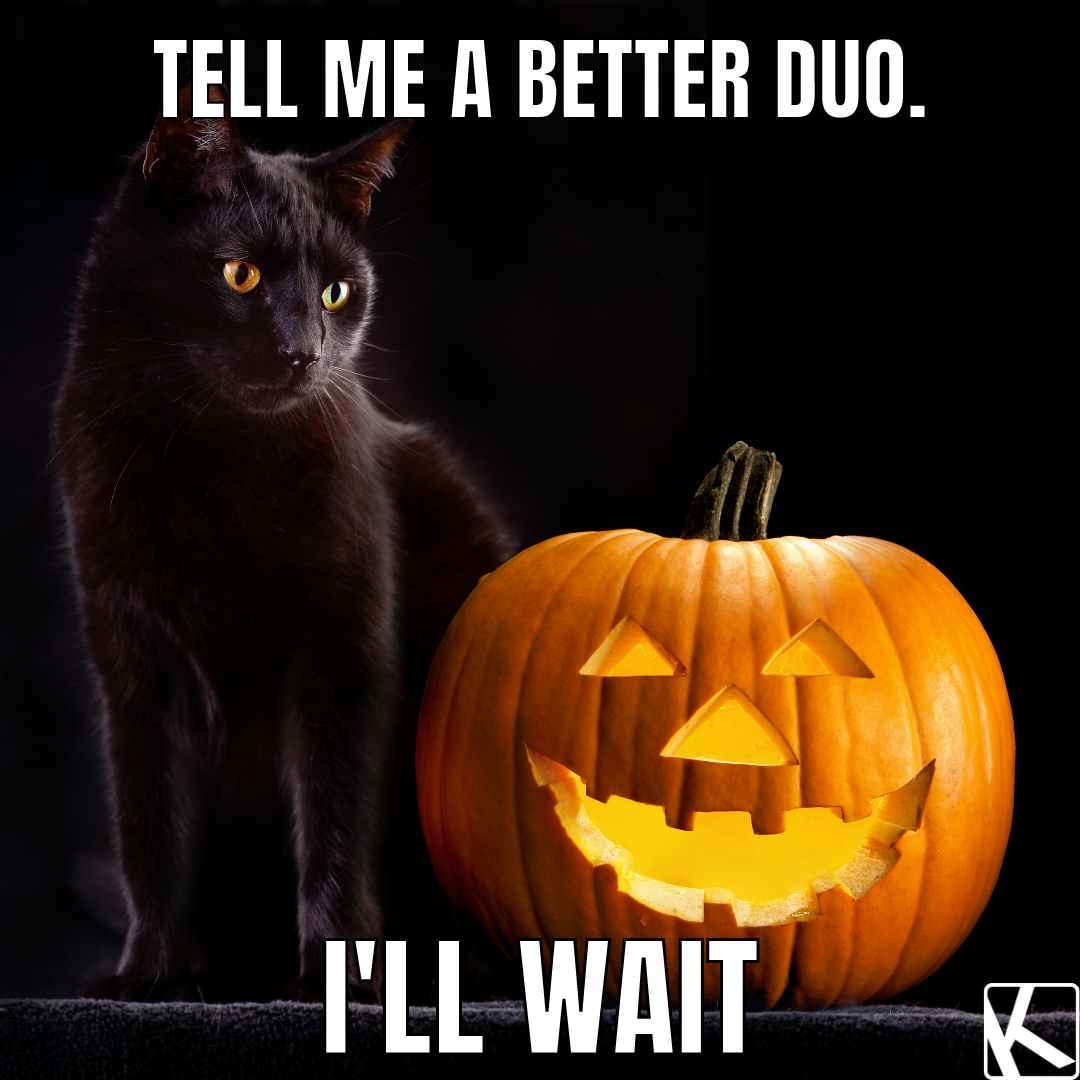 fall memes of black cat beside a glowing jack o lantern 