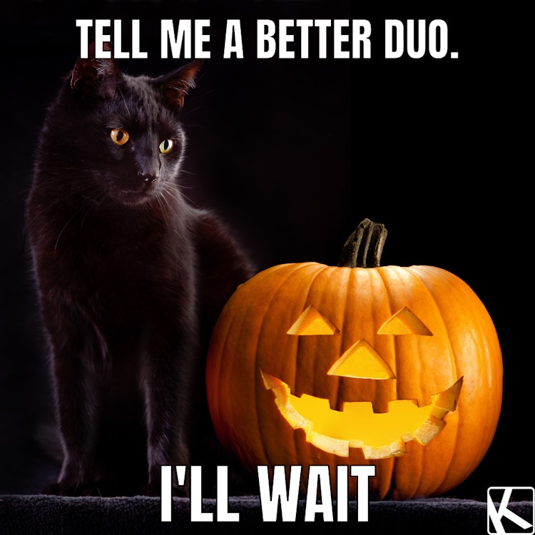 fall memes of black cat beside a glowing jack o lantern 
