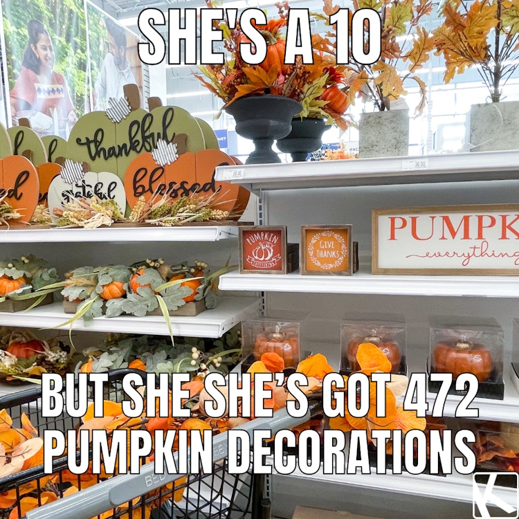 fall memes of store shelves with autumn decor