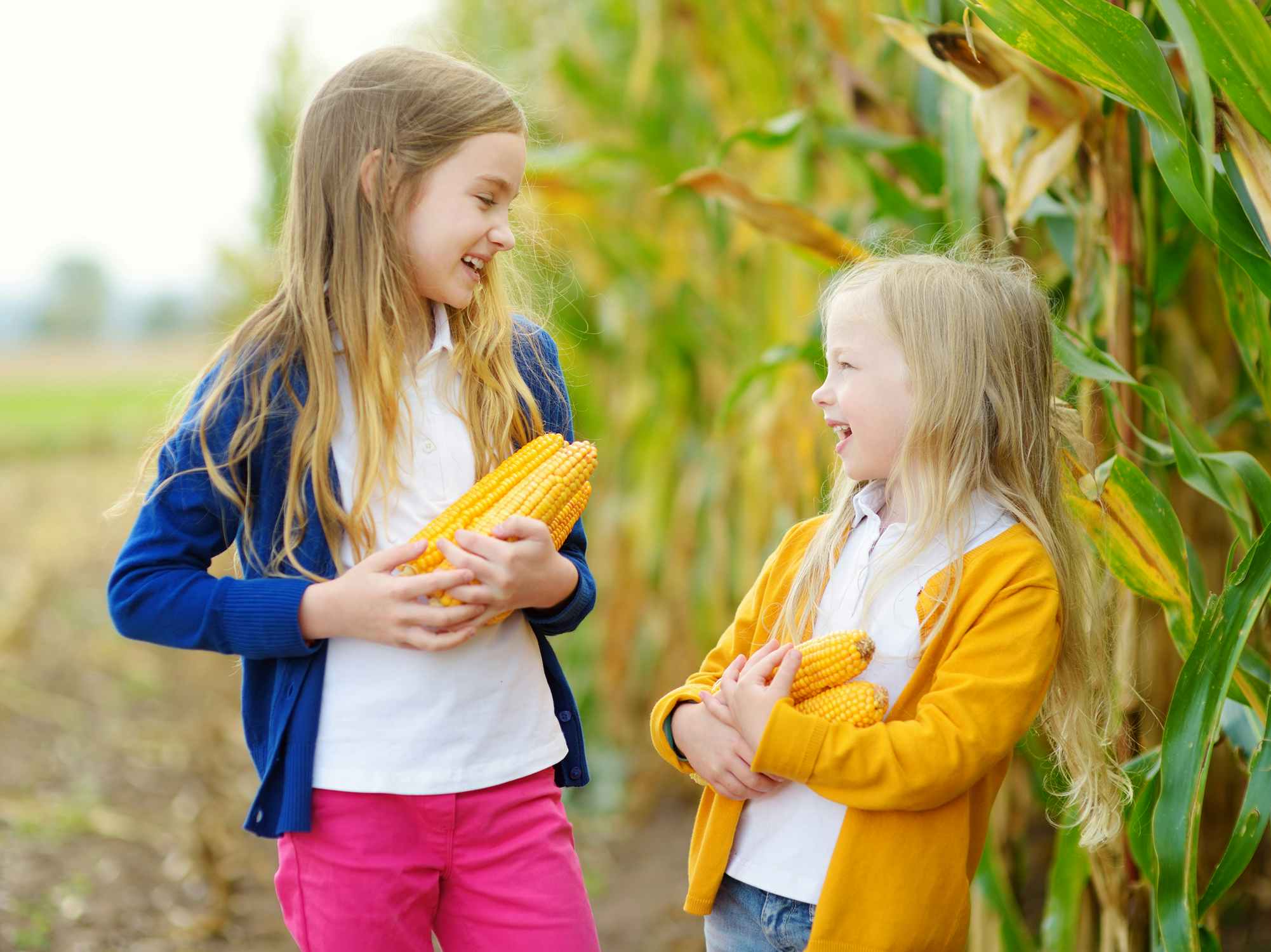 two girls smiling and holding sweet corn in field