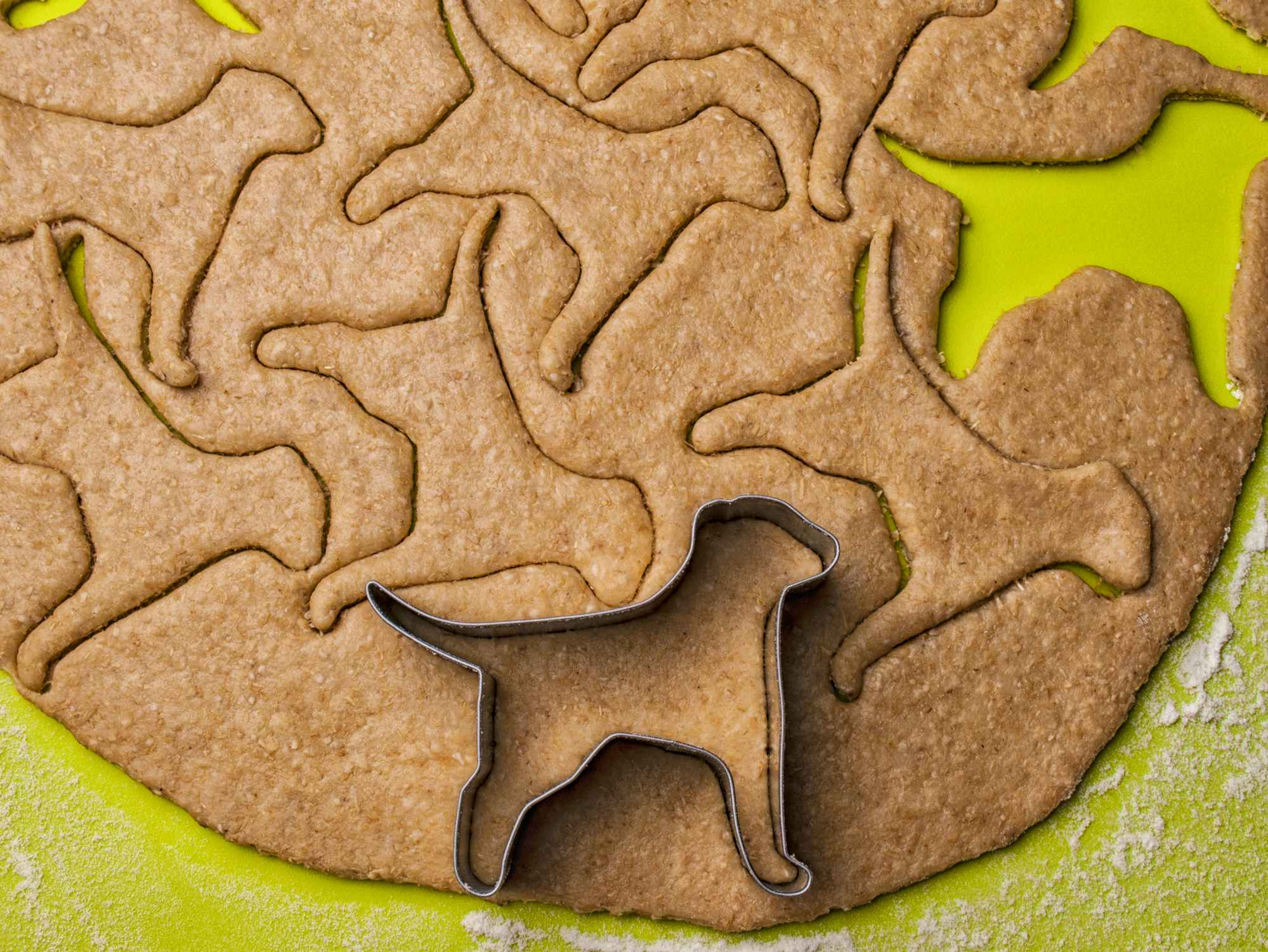 homemade dog treats and dog-shaped cookie cutter