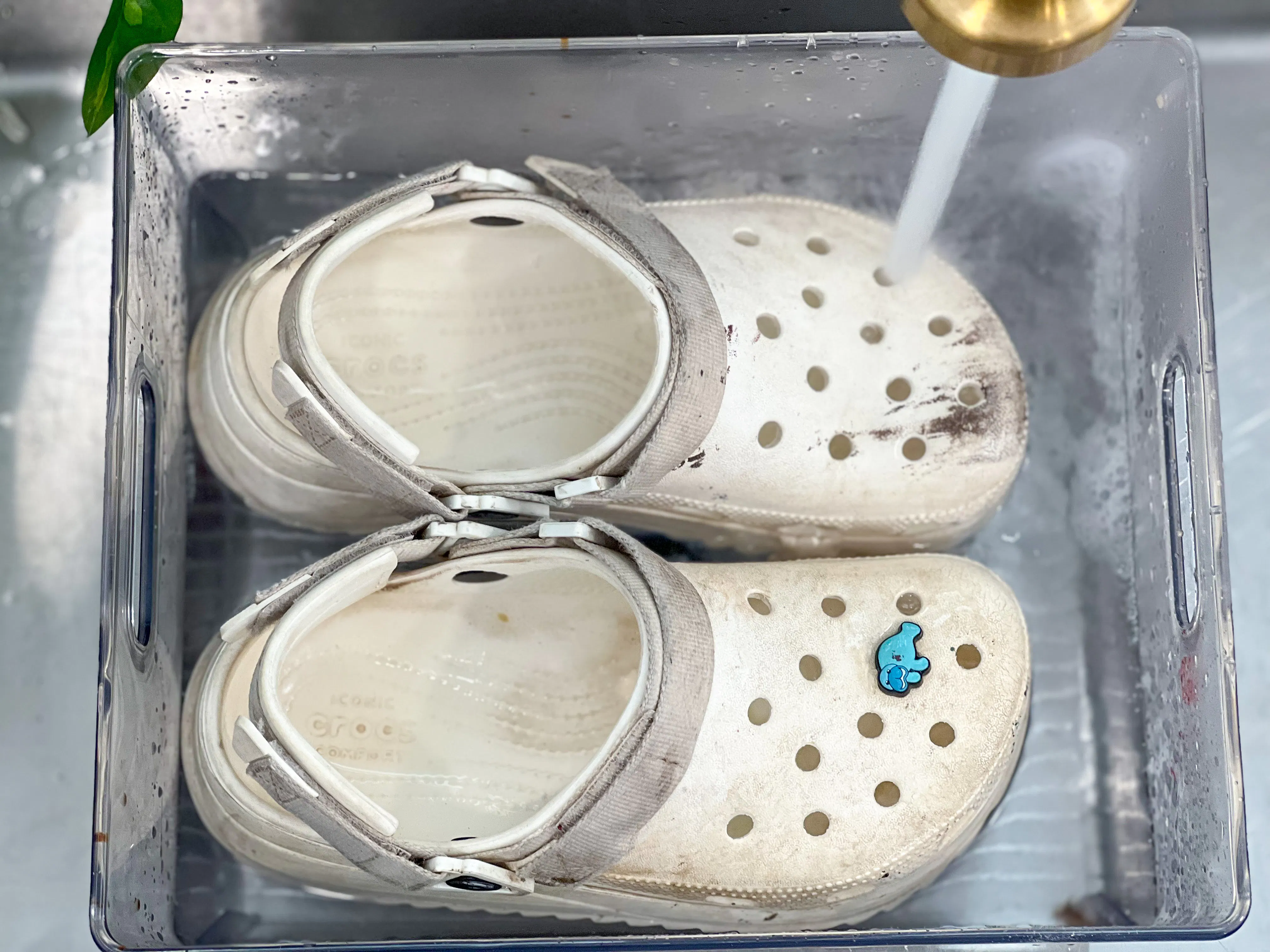 Creases In Crocs at Scott Drain blog