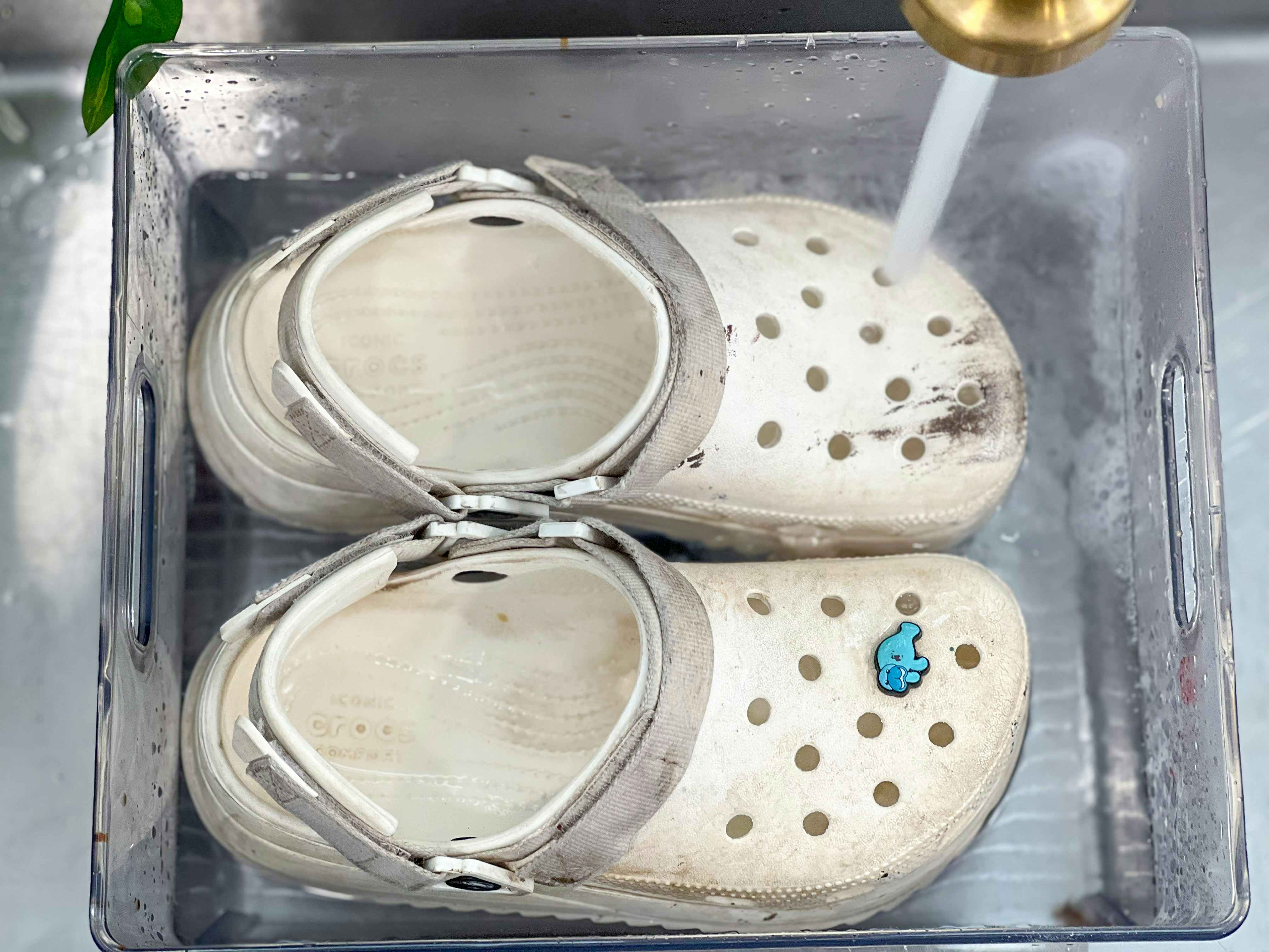 A pair of dirty Crocs in a plastic tub with water running over them.