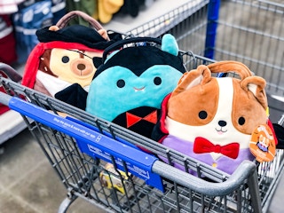 img 0341 1694456088 1694456090