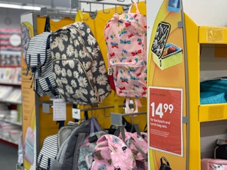 img 7955 1660762353 1660762353 scaled