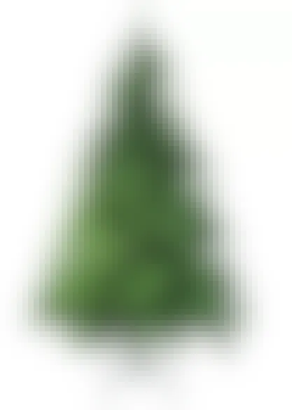 Northlight Seasonal 6-Foot Colorado Spruce Two-Tone Artificial Christmas Tree