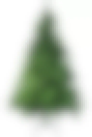 Northlight Seasonal 7-ft. Colorado Spruce Two-Tone Artificial Christmas Tree