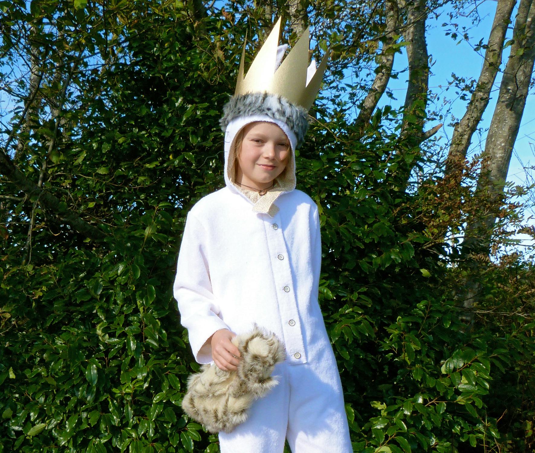 boy dressed in Where the Wild Things Are Max Halloween costume