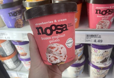 2 Noosa Frozen Yoghurt Gelato