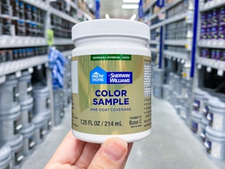 holding up paint sample at Lowes