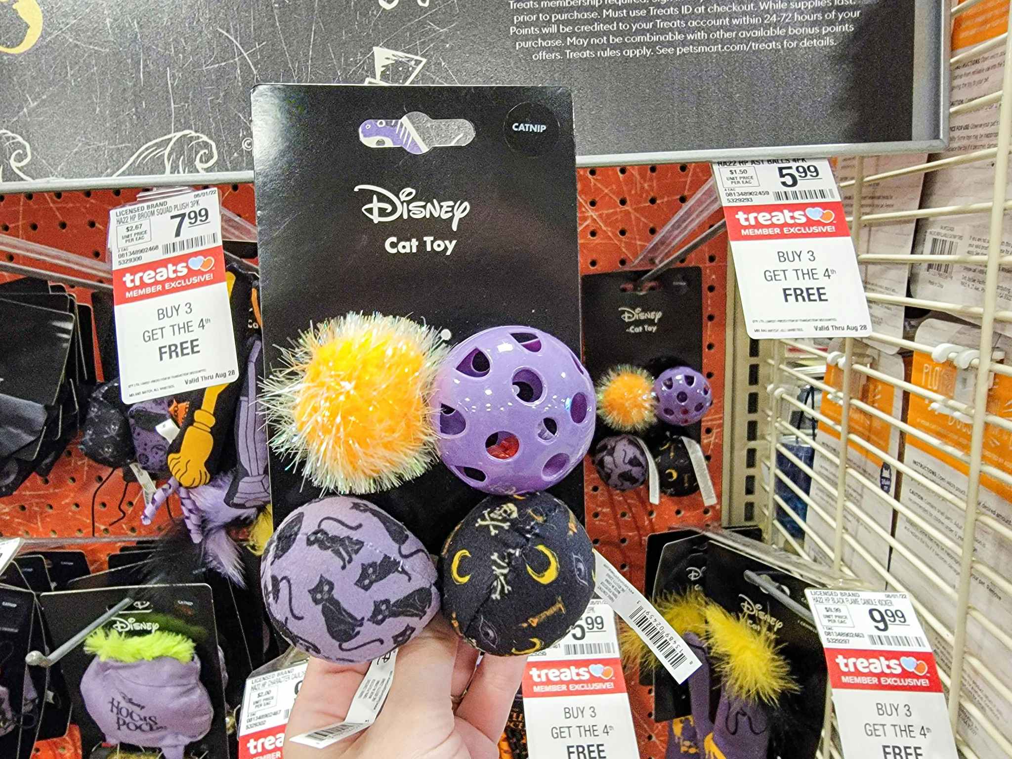 hand holding a pack of 4 hocus pocus themed cat toy balls