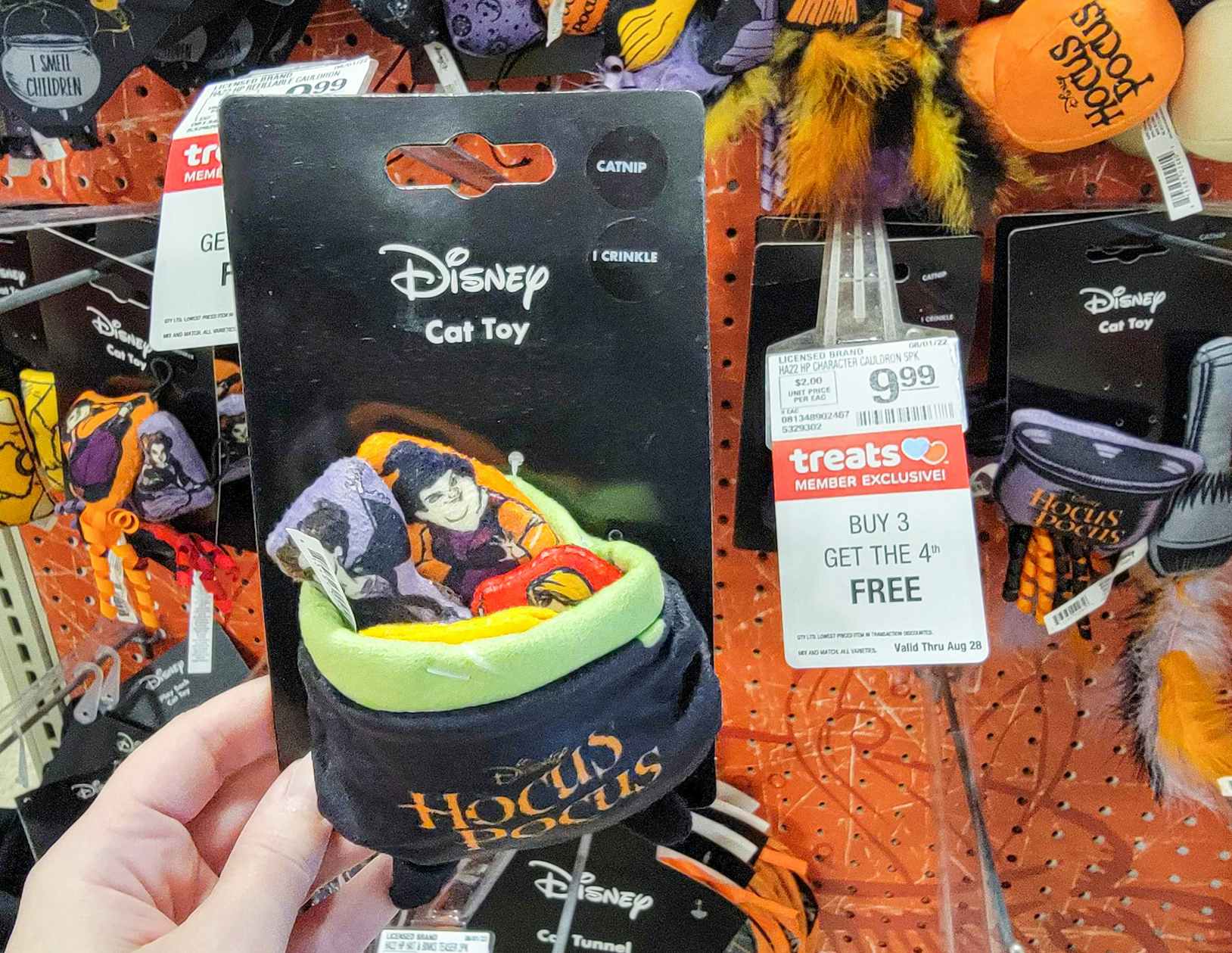 hand holding a hocus pocus cat toy, a cauldron with the 3 sanderson sisters in it