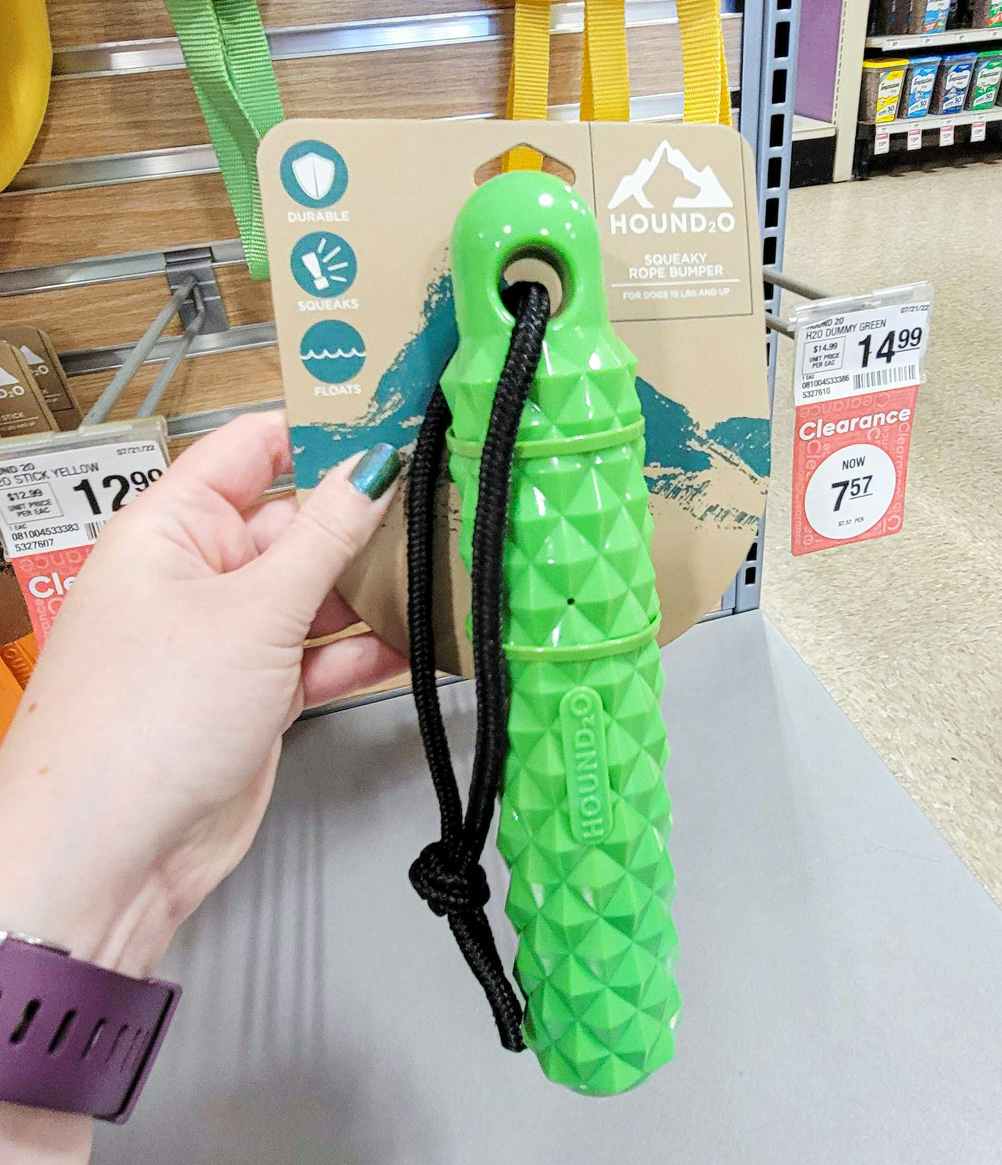 hand holding a green stick toy for dogs