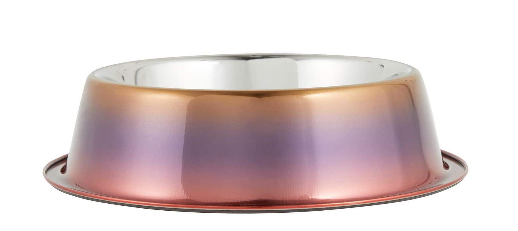 ombre stainless steel dog bowl