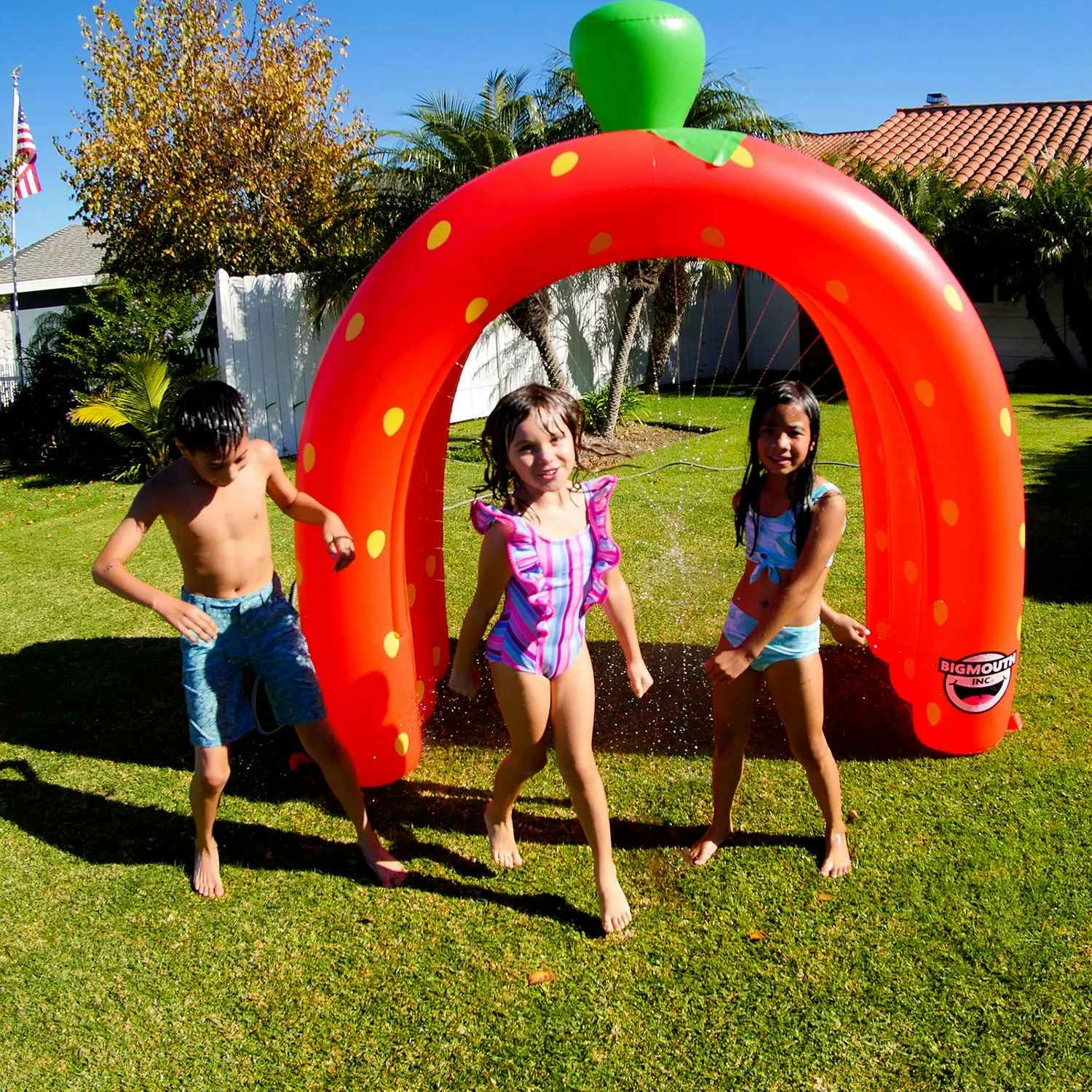 kids playing under a sprinkler tunnel strawberry