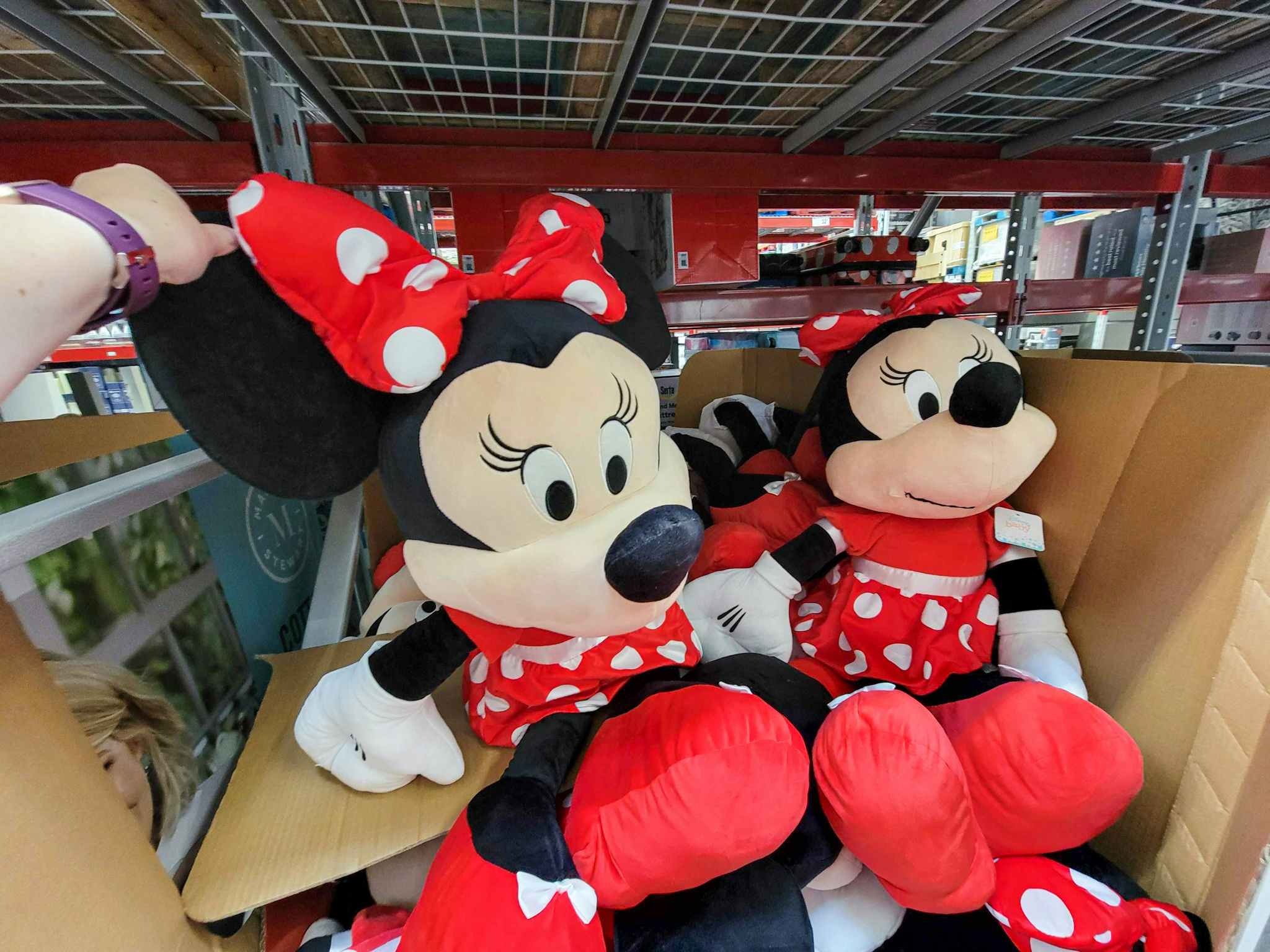 40-inch tall minnie mouse plushes in a box