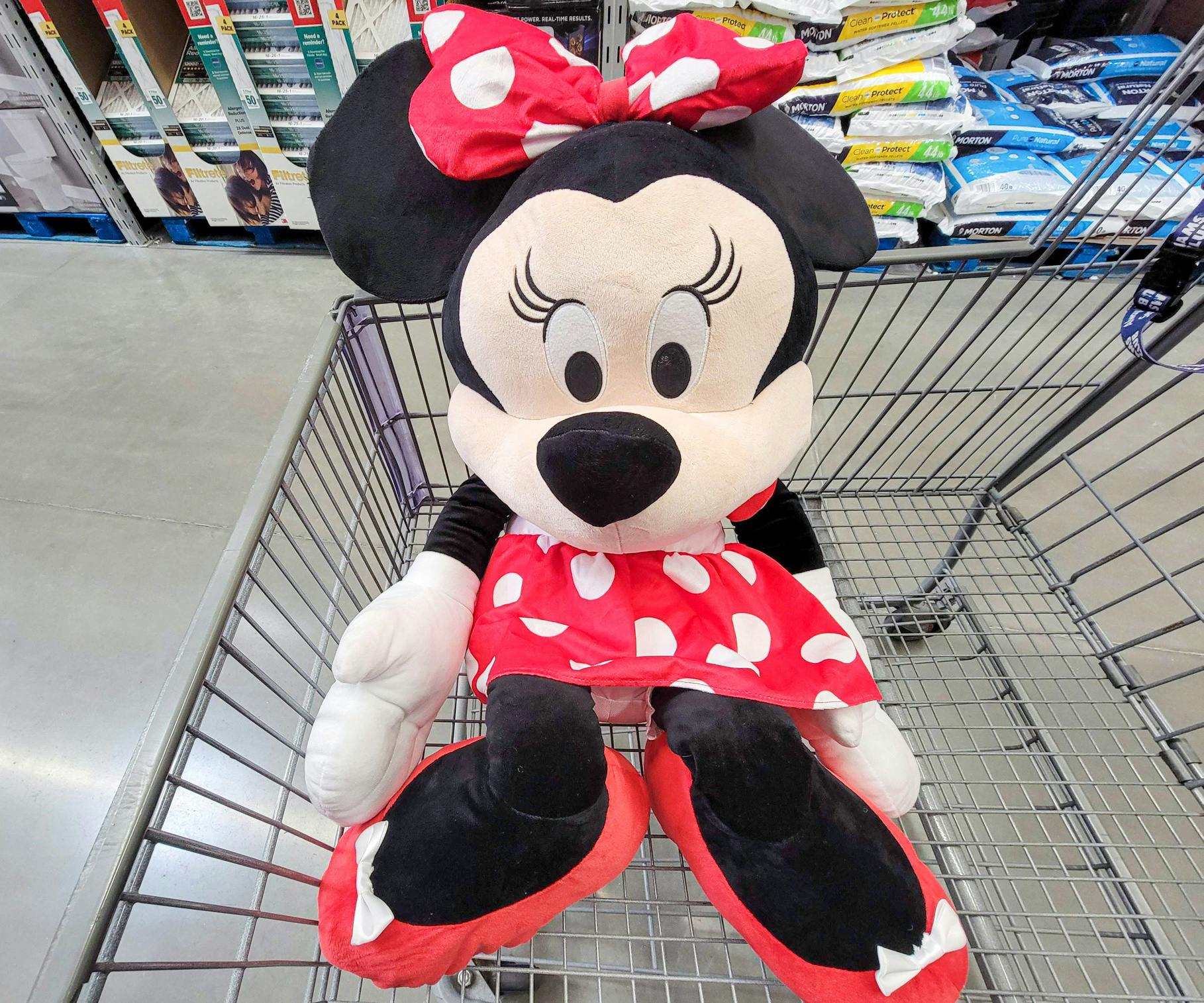 cvs mickey mouse plush