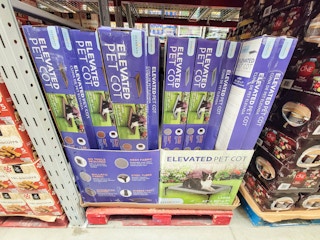 boxes of elevated pet cots