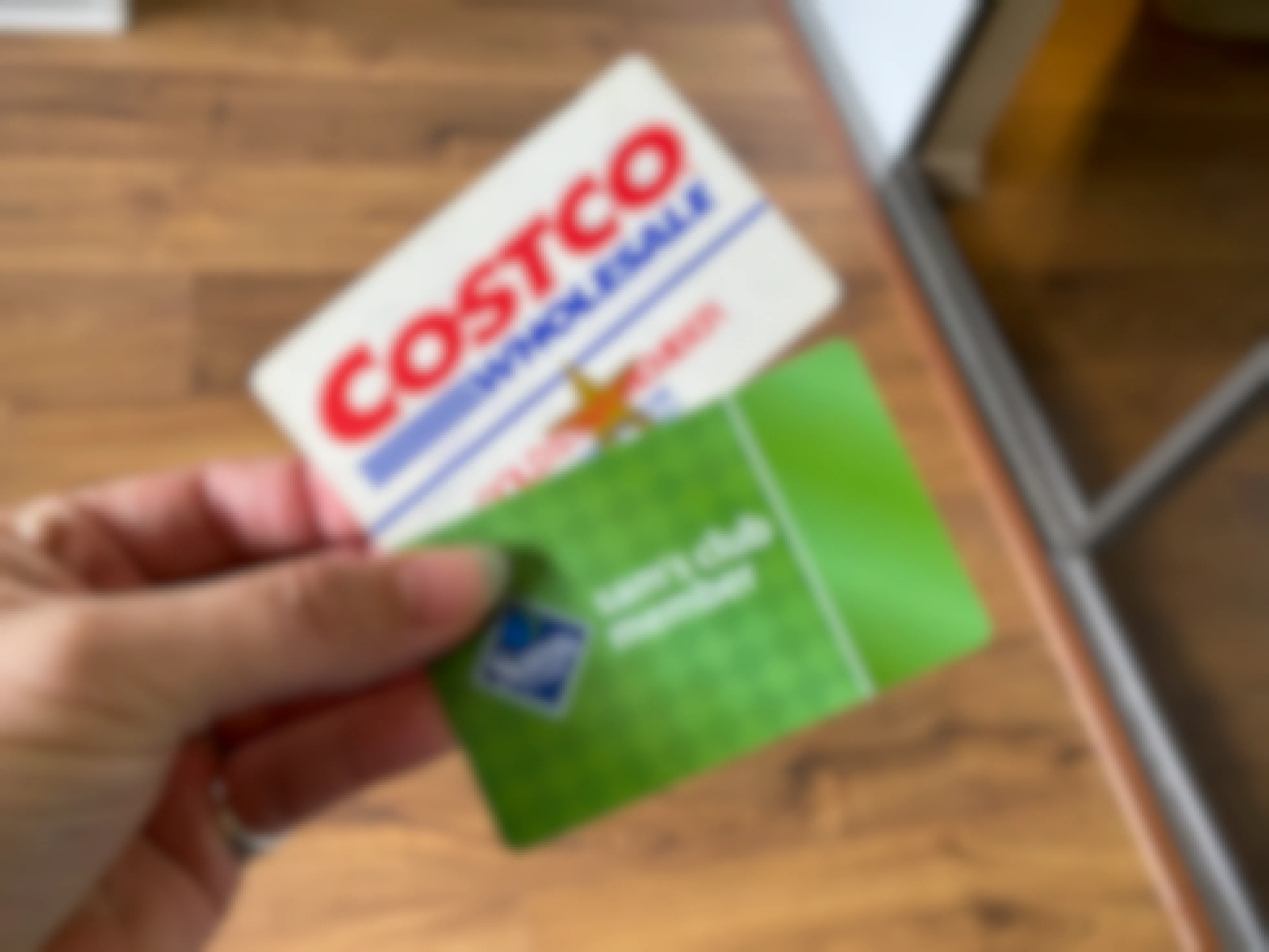 A person's hand holding a Costco Gold Star Member card and a Sam's Club member card.