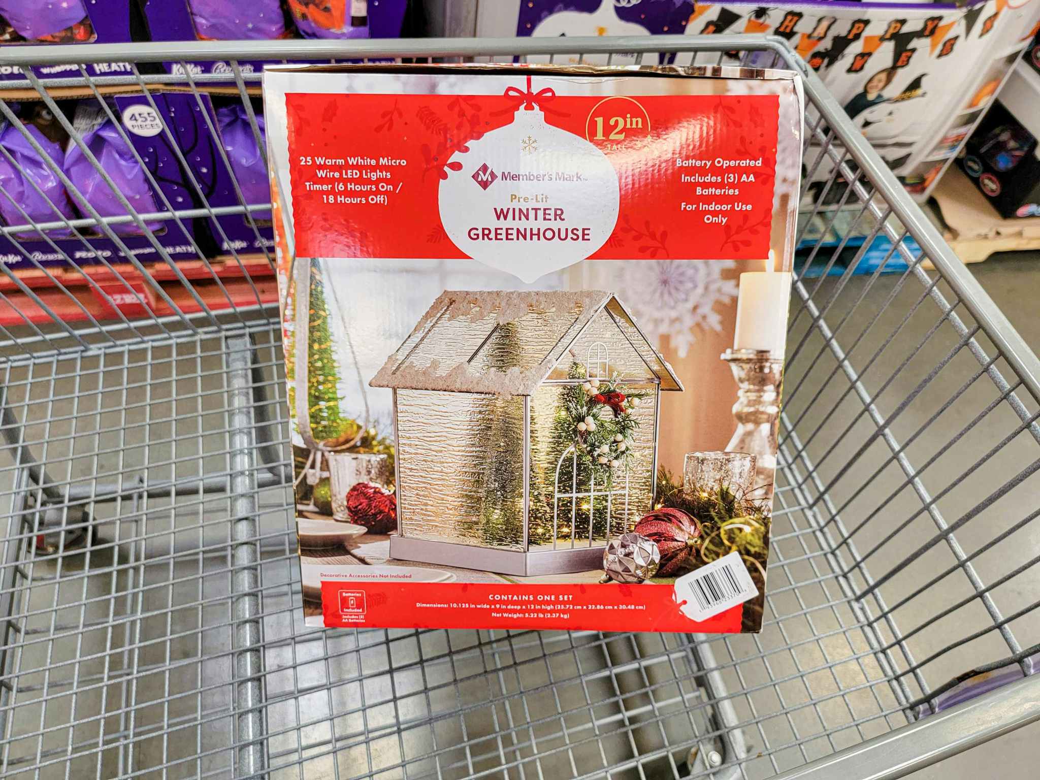 a winter greenhouse christmas decoration in a cart