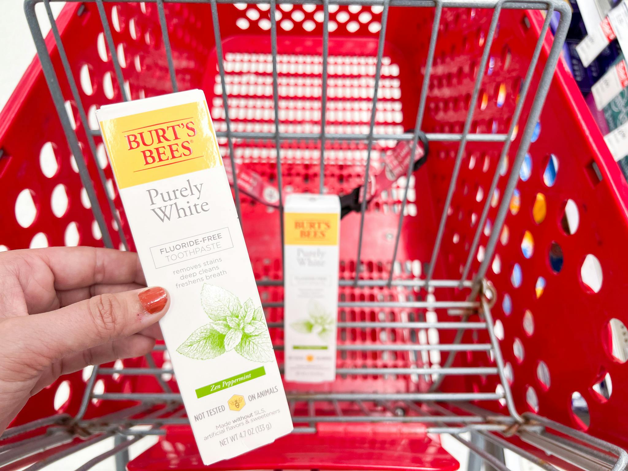 target burt's bees toothpaste