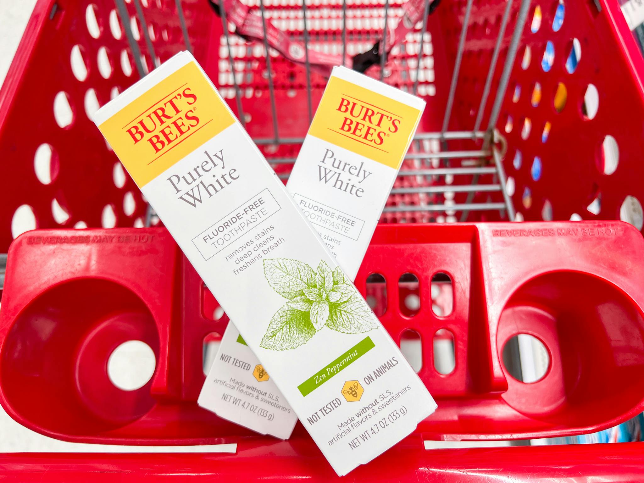 burt's bees toothpaste target