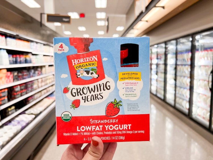 A hand holding a box of Horizon Organic Growing Years Lowfat Yogurt in the dairy aisle at Target